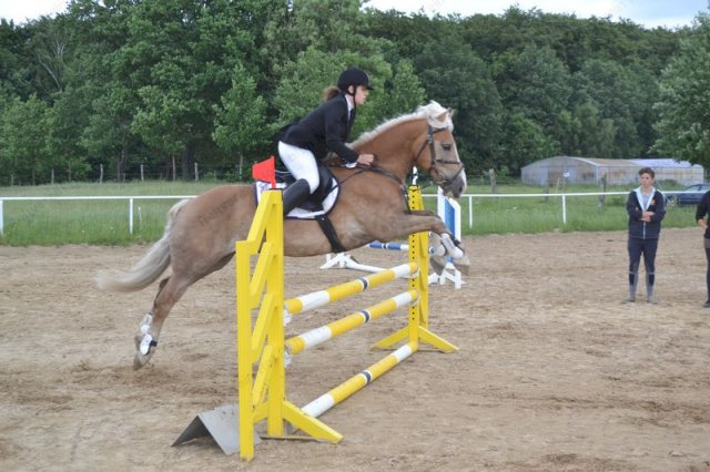 reitertag 2013 81